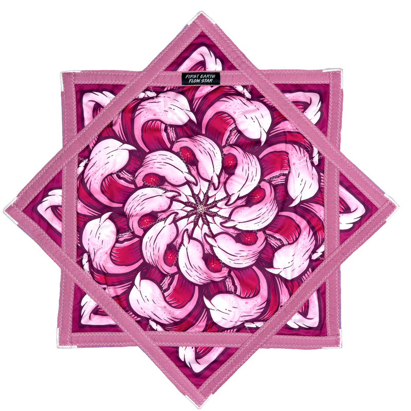 Chrysanthemum Twighlight - Flow Star