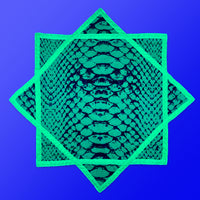 Neon Serpent – UV spinning flow star by First Earth, striking rave prop with serpent design 