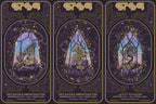 STS9 - RRX 2021